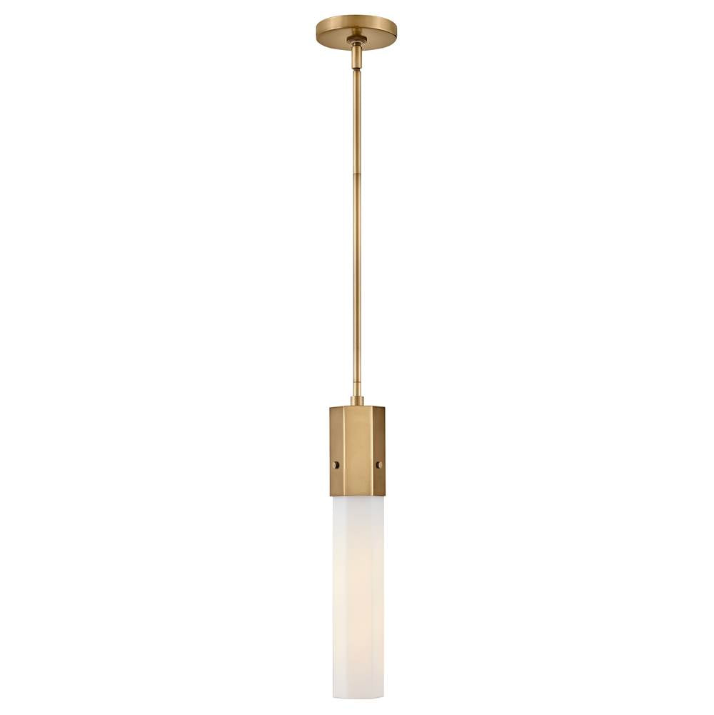 Hinkley Lighting Facet Extra Small Pendant