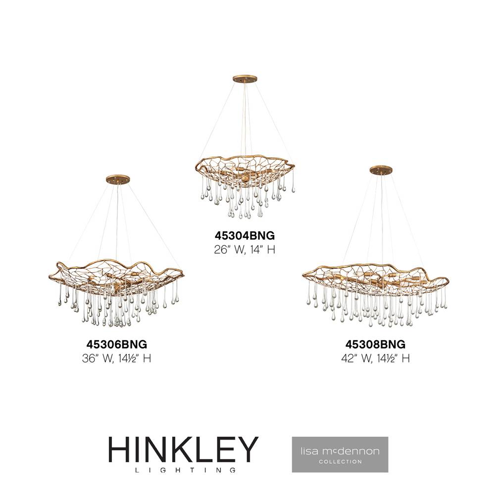 Hinkley Lighting 45304BNG Burnished Gold Medium Single Tier Image 2