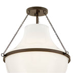 Hinkley Lighting 46893HZ Heritage Bronze Medium Semi-flush Mount Image 4