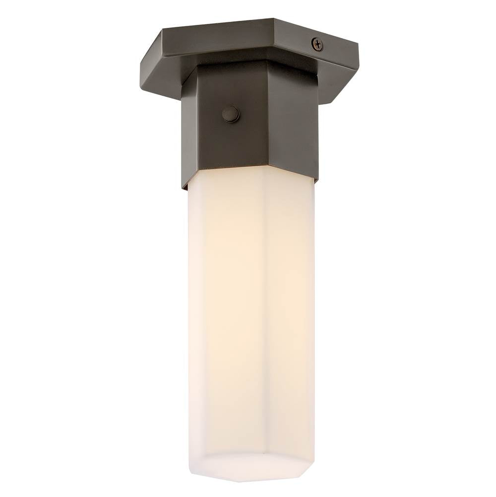 Hinkley Lighting 46992BX Black Oxide Small Flush Mount Image 1