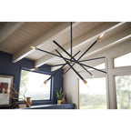 Hinkley Lighting 4766SK Satin Black Large Single Tier Image 2