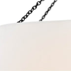 Hinkley Lighting 47734BK Black Medium Drum Chandelier Image 4
