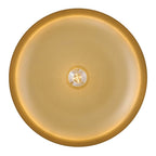 Hinkley Lighting 48167LCB-HZ Lacquered Brass Large Dome Pendant Image 3