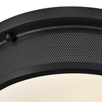 Hinkley Lighting 48561BK Black Medium Flush Mount Image 5