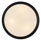 Hinkley Lighting 48561BK Black Medium Flush Mount Image 3