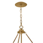 Hinkley Lighting 48616BNG Burnished Gold Medium Chandelier Image 4