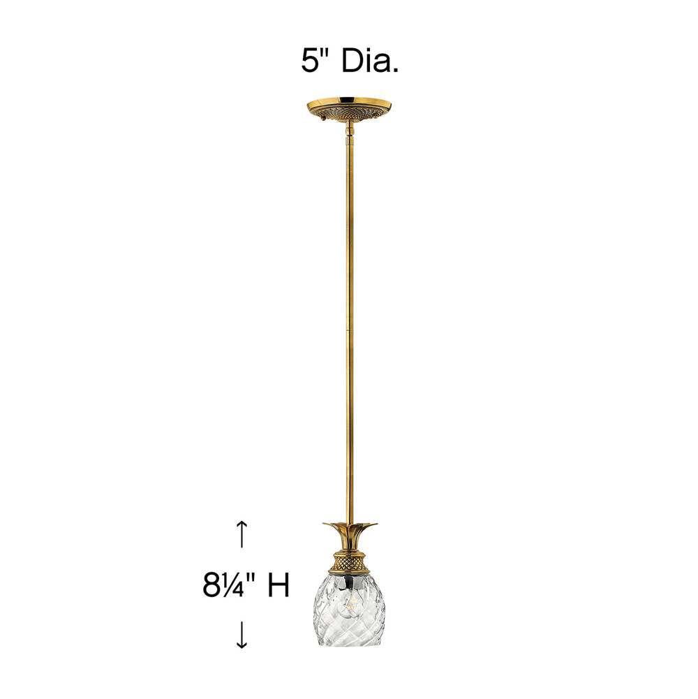 Hinkley Lighting Plantation Small Pendant