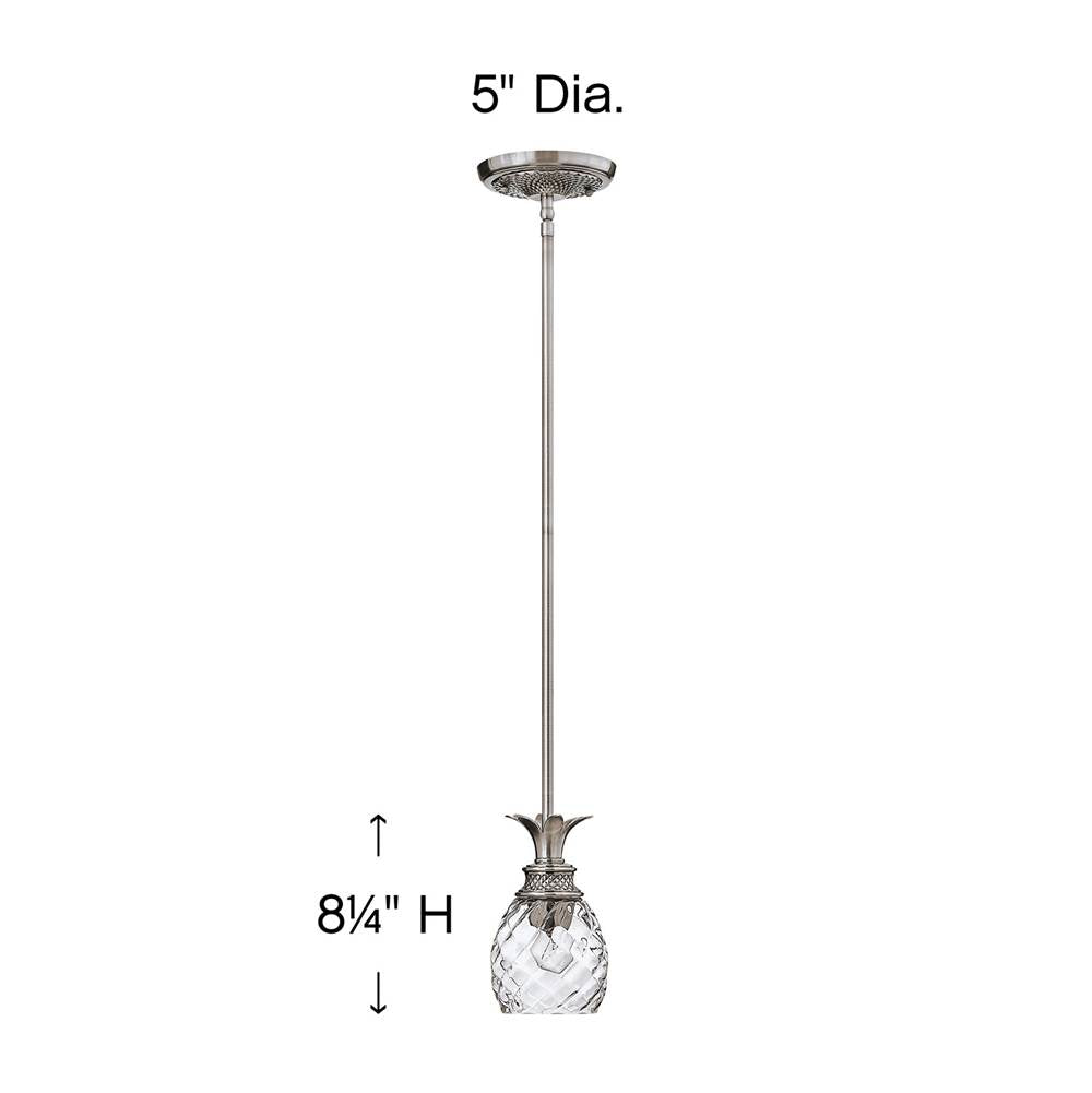 Hinkley Lighting Plantation Small Pendant