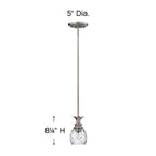 Hinkley Lighting Plantation Small Pendant