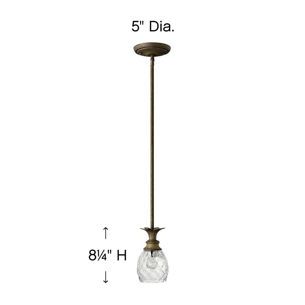 Hinkley Lighting Plantation Small Pendant