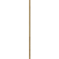 Hinkley Lighting Stem 12'' Accessory Stem