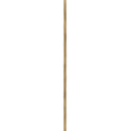 Hinkley Lighting  12'' Accessory Stem