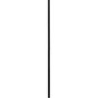 Hinkley Lighting  12'' Accessory Stem