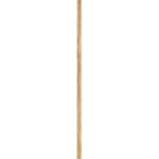 Hinkley Lighting  12'' Accessory Stem