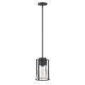Hinkley Lighting 63307BK-CL Black With Clear Glass Small Pendant Image 1