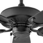 Hinkley Lighting Oasis
