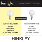 Hinkley Lighting E12G162243CL  Led Bulb Image 3