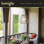 Hinkley Lighting E12T62243CL-24  Led Bulb 24 Pack Image 5