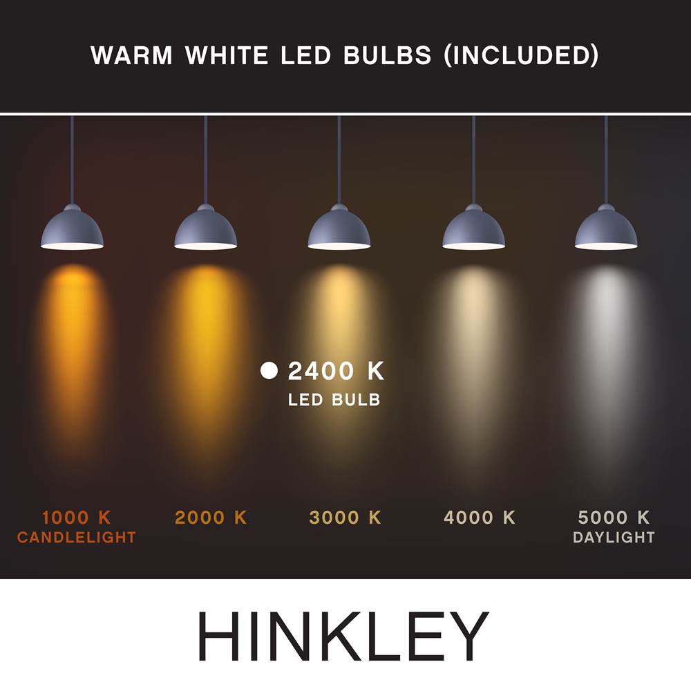 Hinkley Lighting E12T62243CL  Led Bulb Image 3