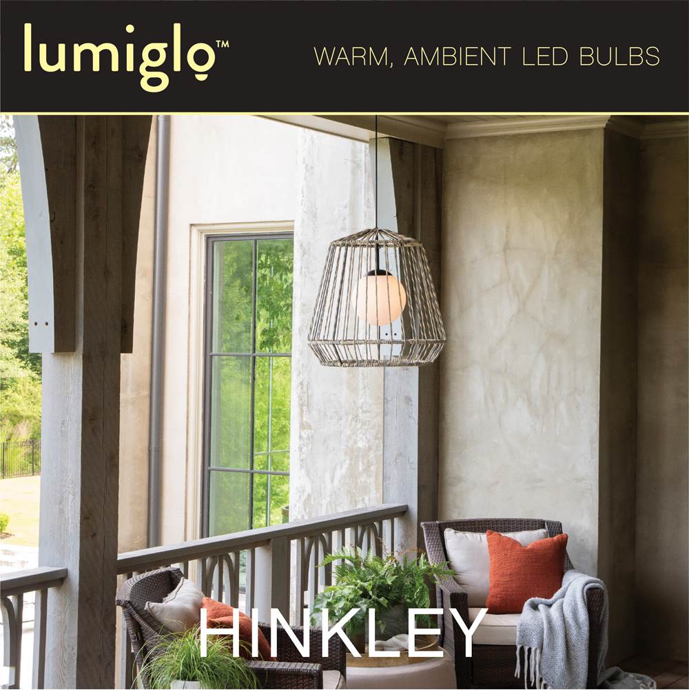 Hinkley Lighting E12T62243CL  Led Bulb Image 5