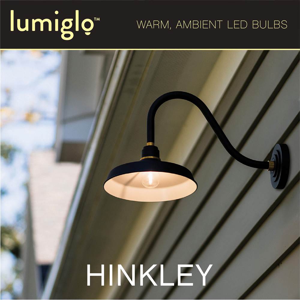 Hinkley Lighting E26G402247CL  Led Bulb Image 5