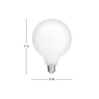 Hinkley Lighting Lumiglo Bulb Led Bulb