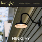 Hinkley Lighting E26G402277MW  Led Bulb Image 5