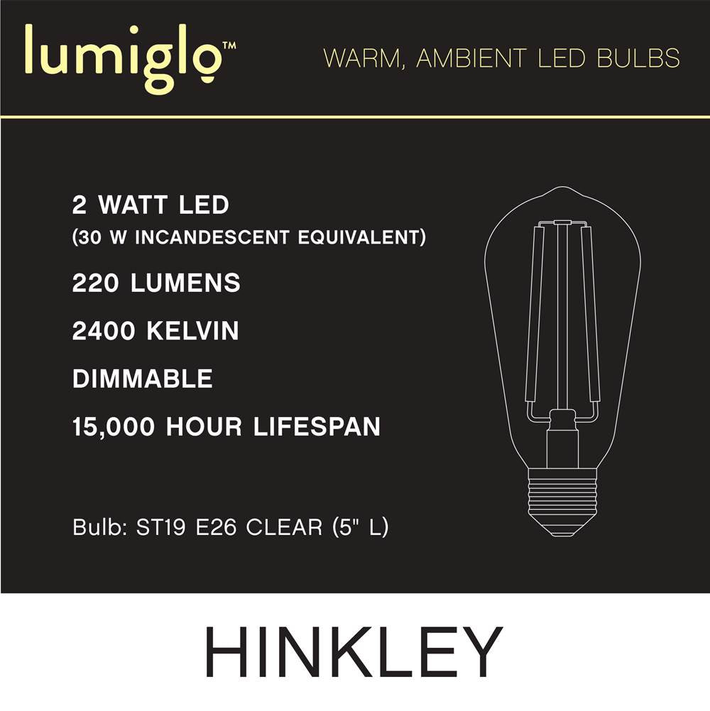 Hinkley Lighting E26ST192245CL  Led Bulb Image 4