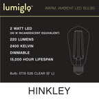Hinkley Lighting E26ST192245CL  Led Bulb Image 4