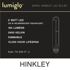 Hinkley Lighting E26T102247CL-24  Led Bulb 24 Pack Image 4