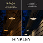 Hinkley Lighting E26T102247CL  Led Bulb Image 2
