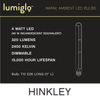 Hinkley Lighting E26T1042411CL-4  Led Bulb 4 Pack Image 4