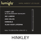 Hinkley Lighting E26T1042415CL  Led Bulb Image 4