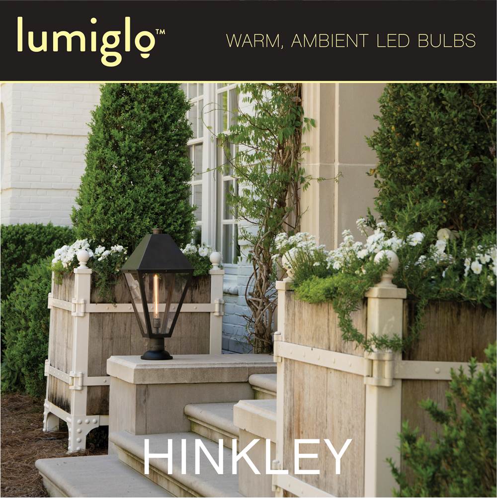 Hinkley Lighting E26T1042415CL  Led Bulb Image 5