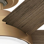 Hunter 51852 Burnished Brass 52 Inch Donatella Burnished Brass Ceiling Fan With Led Light Kit And Handheld Remote Image 7
