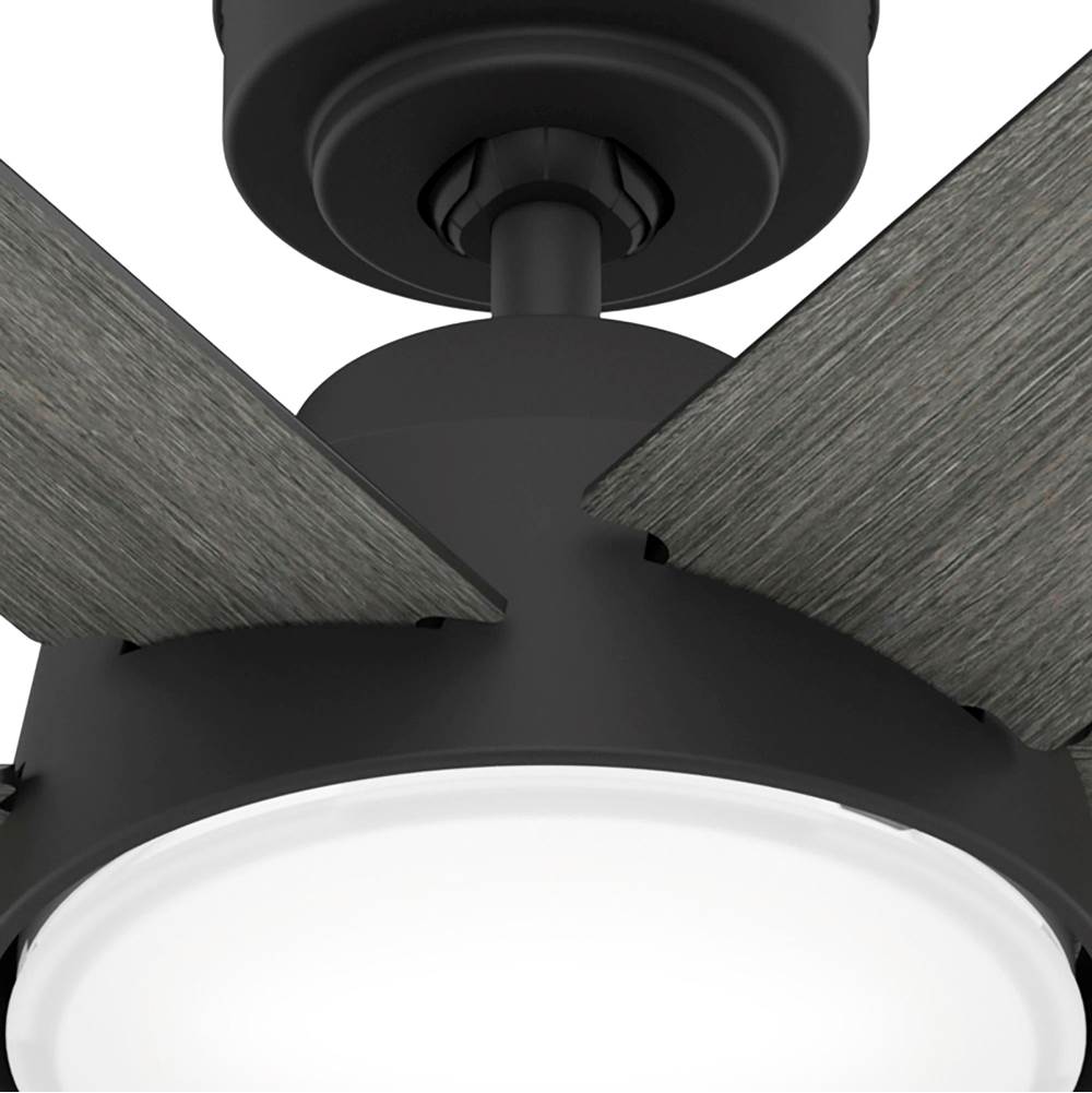 Hunter 51853 Matte Black 52 Inch Donatella Matte Black Ceiling Fan With Led Light Kit And Handheld Remote Image 7