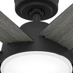 Hunter 51853 Matte Black 52 Inch Donatella Matte Black Ceiling Fan With Led Light Kit And Handheld Remote Image 7