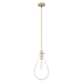 Hunter 19562 Palm Gold Hunter Lundin Palm Gold 1 Light Pendant Ceiling Light Fixture Image 1