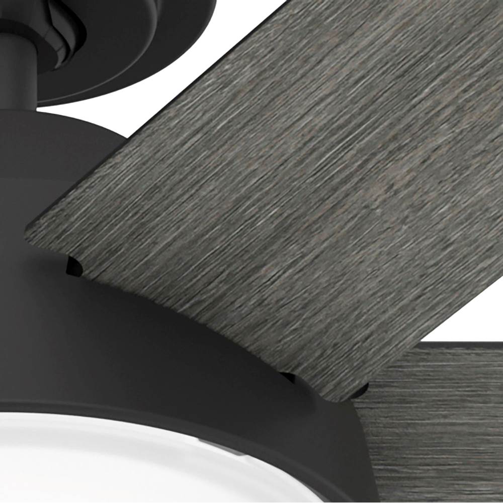 Hunter 51853 Matte Black 52 Inch Donatella Matte Black Ceiling Fan With Led Light Kit And Handheld Remote Image 8