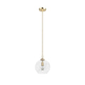 Hunter 19559 Palm Gold Hunter High Oaks Palm Gold 1 Light Pendant Ceiling Light Fixture Image 1