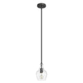 Hunter 19568 Noble Bronze Hunter Maple Park Noble Bronze 1 Light Pendant Ceiling Light Fixture Image 1
