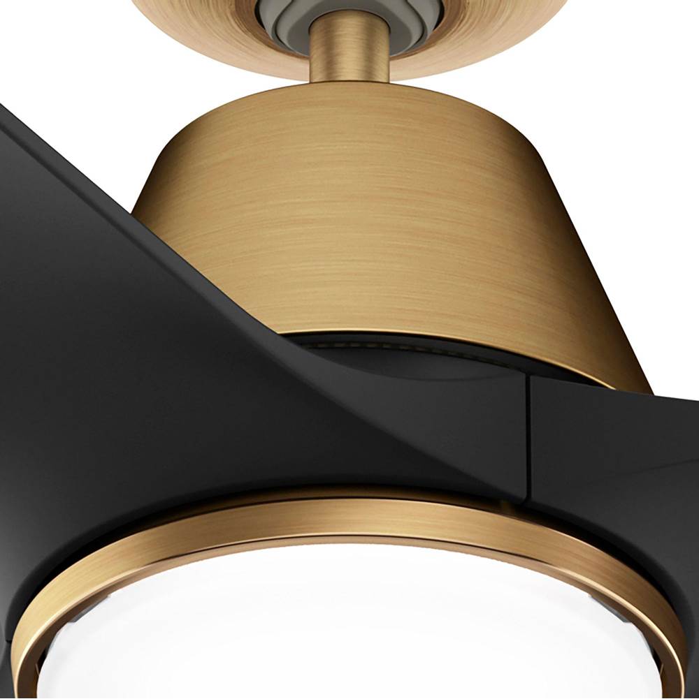 Hunter 52885 Luxe Gold 44 In Aeronaut - Luxe Gold / M Image 3