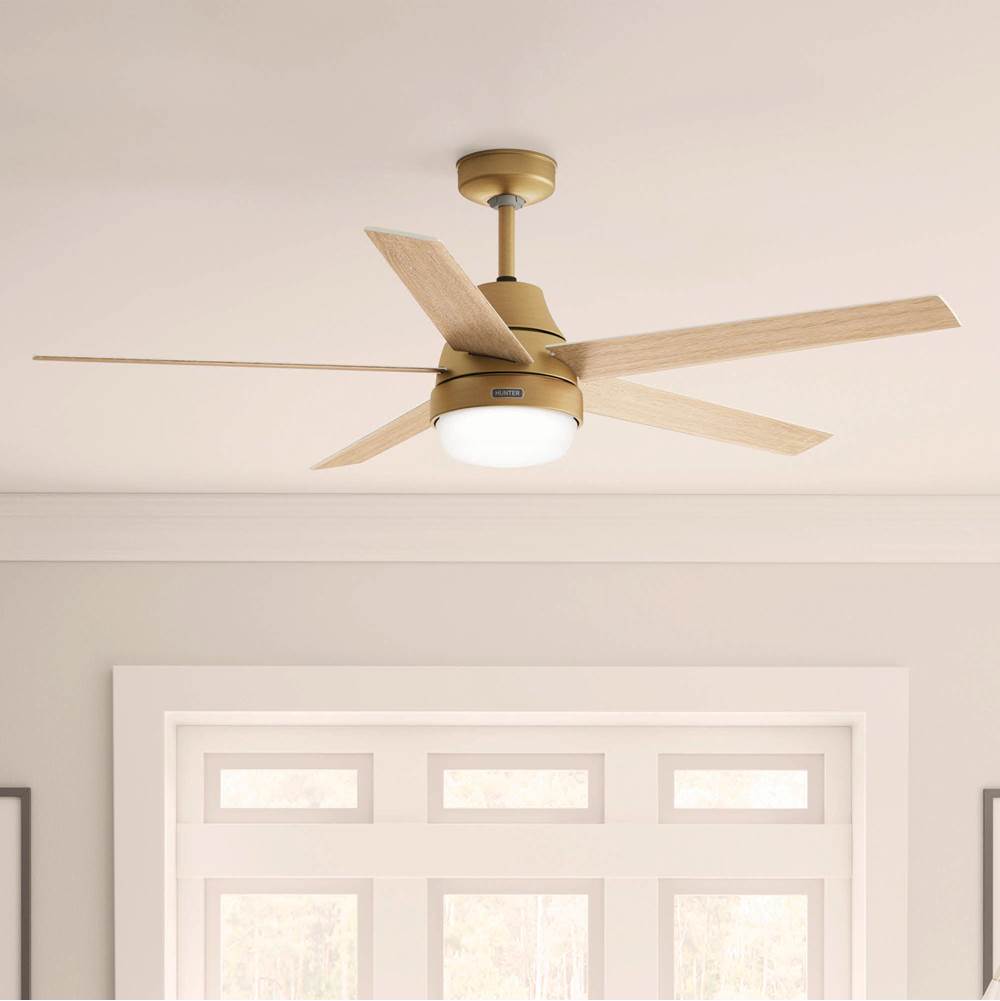 Hunter 53783 Luxe Gold 60in Aerodyne With Reversible Blades - Luxe Gold Image 7