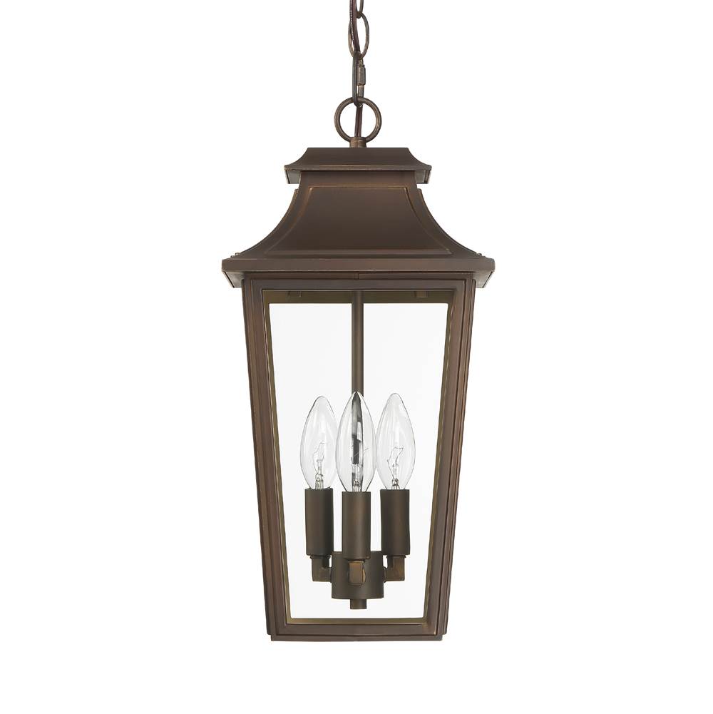 Hunter 46085 Matte Bronze Hunter Spring Cove Matte Bronze With Clear Glass 3 Light Image 1