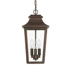 Hunter 46085 Matte Bronze Hunter Spring Cove Matte Bronze With Clear Glass 3 Light Image 1