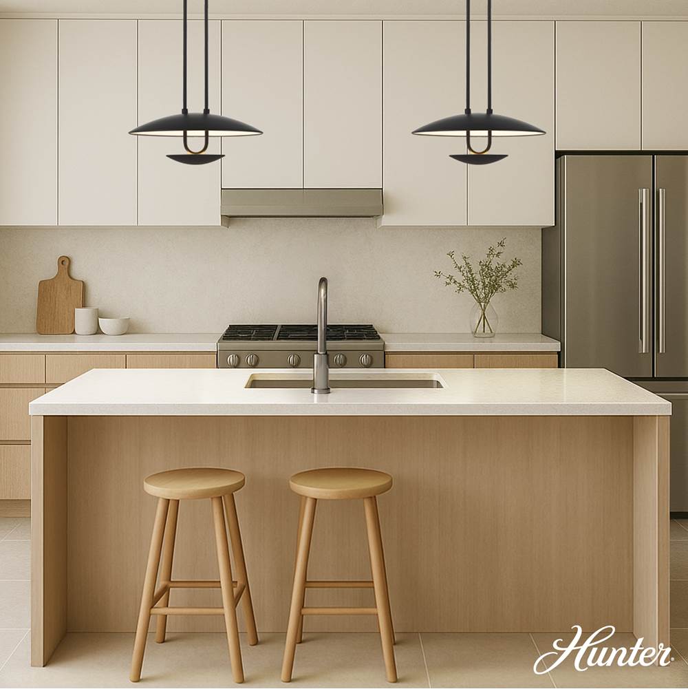 Hunter Sunset Ridge Sunset Ridge 1 Light Large Pendant Black