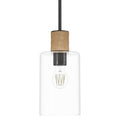 Hunter 13110 Noble Bronze Hunter Vanning Noble Bronze And Natural Sisal Rope With Clear Glass 1 Light Pendant Ceiling Light Fixture Image 1