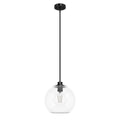 Hunter 19513 Matte Black Xidane Matte Black With Clear Glass 1 Light Pendant Ceiling Light Fixture Image 1