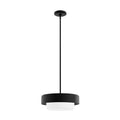 Hunter Station 2 Light Pendant Nat Iron