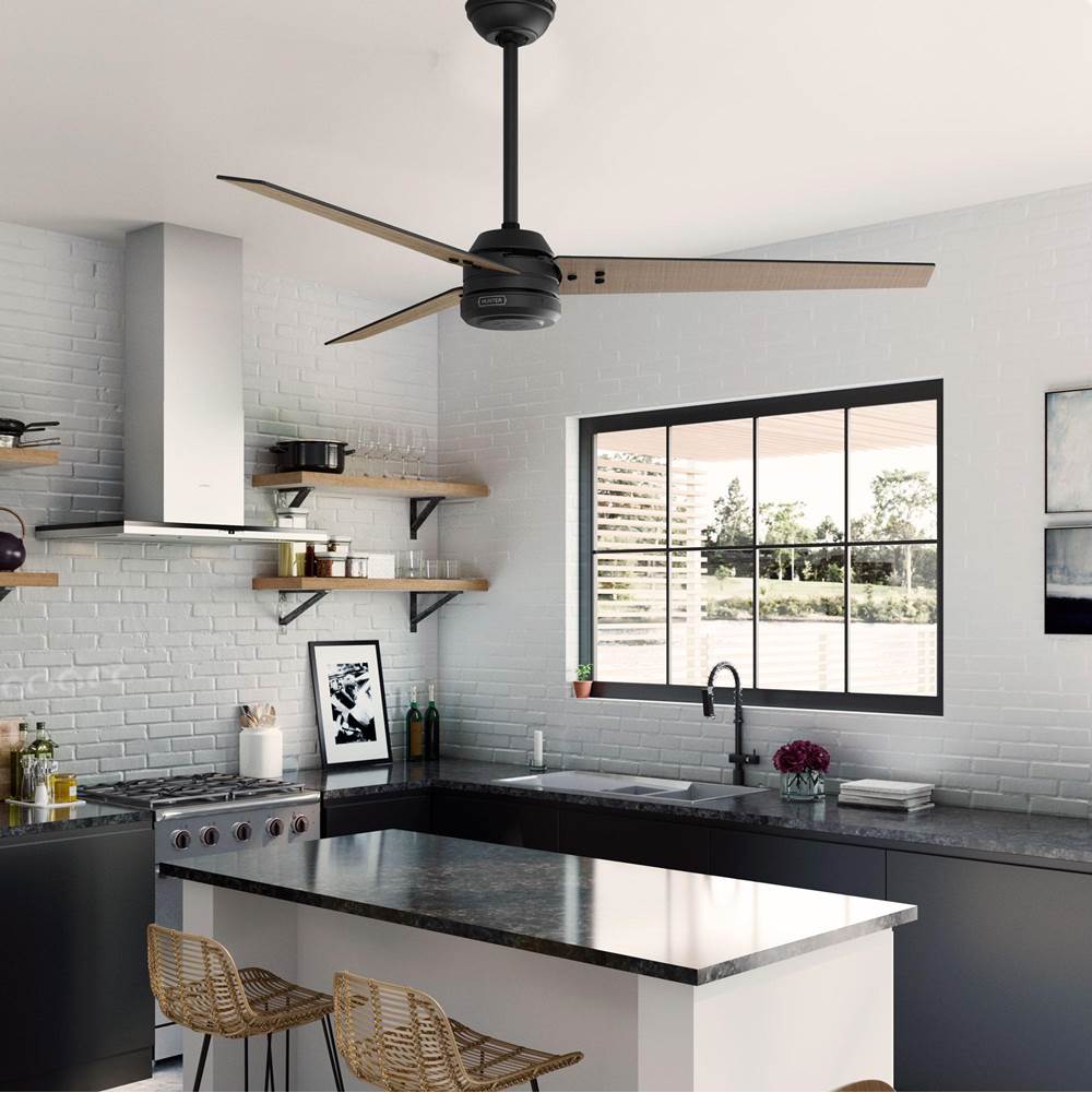 Hunter 52979 Matte Black 60 Inch Cassius Energy Star Matte Black Damp Rated Ceiling Fan And Wall Control Image 6